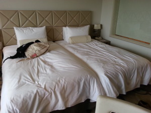 ホテル日航東京　ツイン