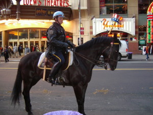ニューヨーク　マンハッタン　騎馬警察