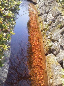 熱海　MOA美術館